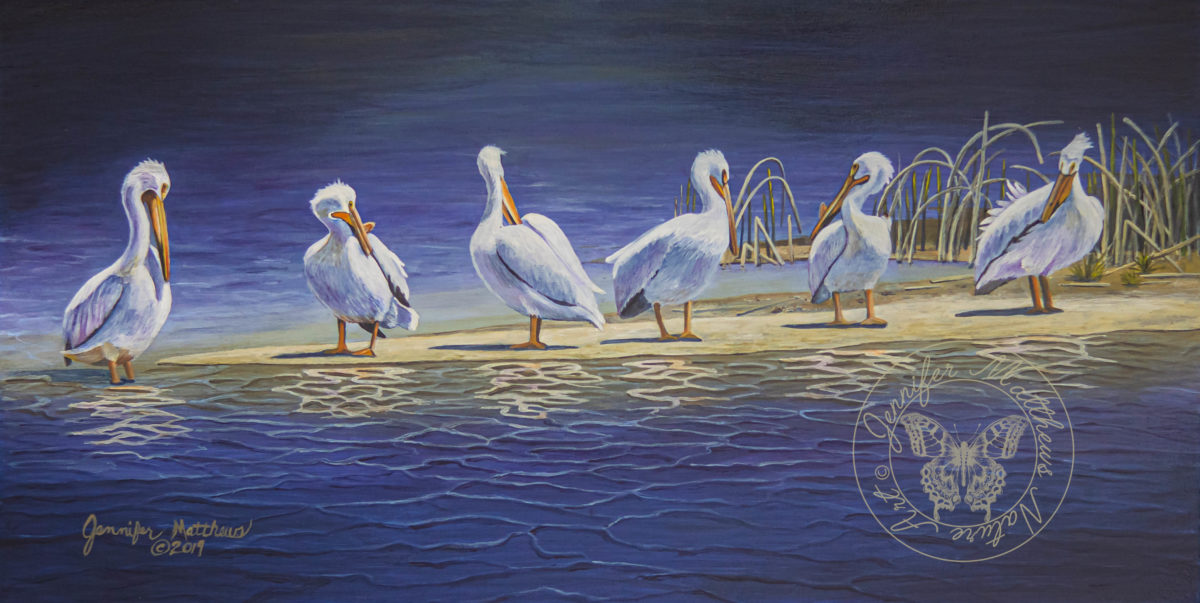 Original art, Oil Painting,acrylic painting, north dakota, wildlife, midlife art, wildlife painting, nature, nature art, nature painting, capture north dakota, north dakota legendary, north dakota be legendary, explore north dakota, ND, pelicans, lake metigoshe state park