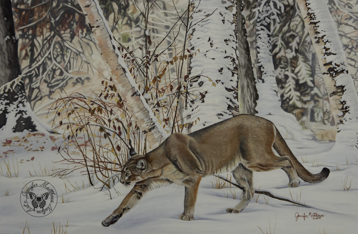 Original art, Oil Painting,acrylic painting, north dakota, wildlife, midlife art, wildlife painting, nature, nature art, nature painting, capture north dakota, north dakota legendary, north dakota be legendary, explore north dakota, ND, Mountain Lion, Cougar, puma, snow,winter, birch tree