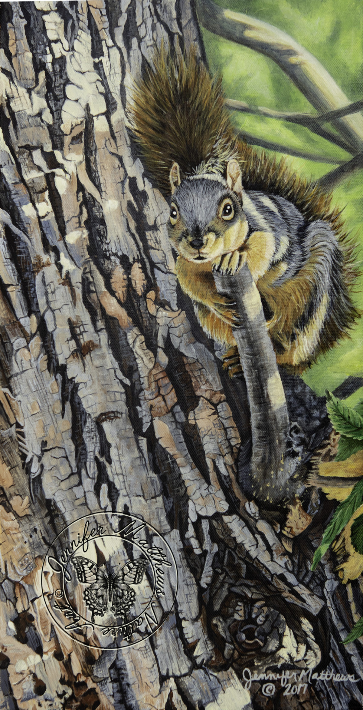 Original art, Oil Painting,acrylic painting, north dakota, wildlife, midlife art, wildlife painting, nature, nature art, nature painting, capture north dakota, north dakota legendary, north dakota be legendary, explore north dakota, ND, white ash, bark, squirrel
