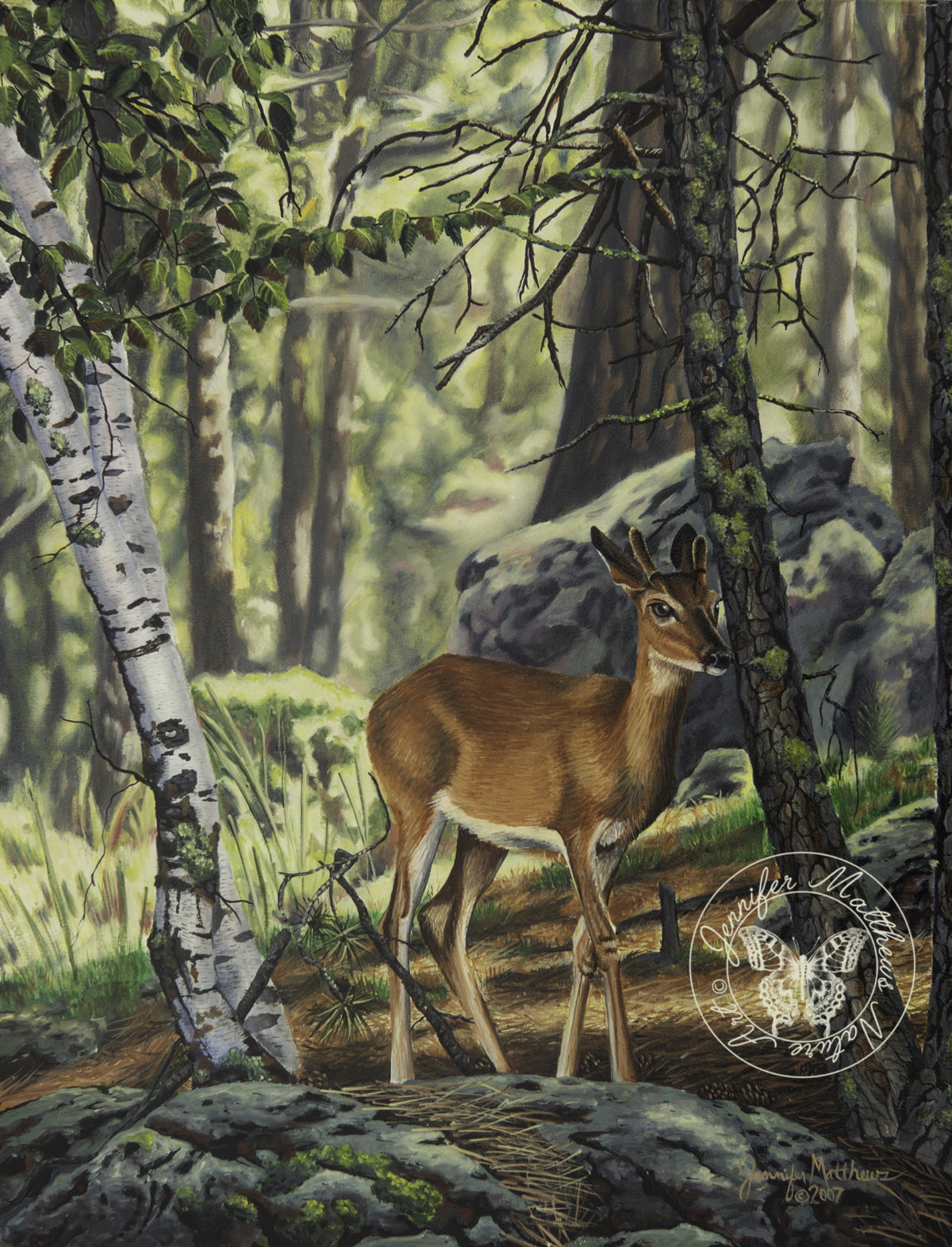 Original art, Oil Painting,acrylic painting, north dakota, wildlife, midlife art, wildlife painting, nature, nature art, nature painting, capture north dakota, north dakota legendary, north dakota be legendary, explore north dakota, ND, white tail deer, Black Hills, South Dakota